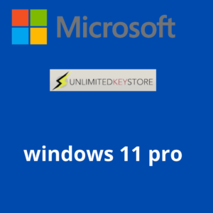 Microsoft Windows 11 Professional