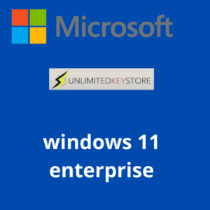 Microsoft Windows 11 Enterprise